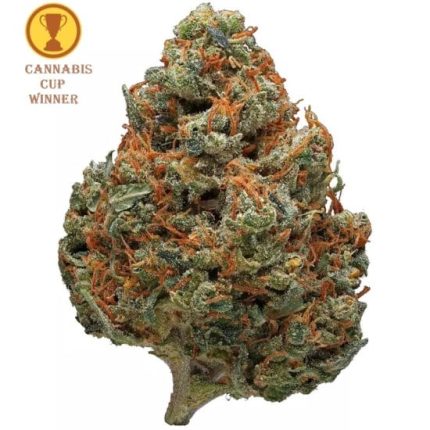 *VIP* Cup Winner Mele e Banane Indoor CBD Blüten 10g