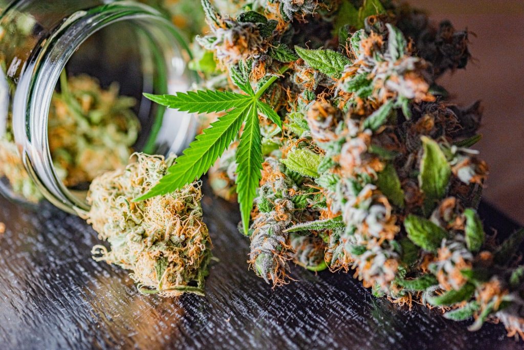 CBD Blüten
