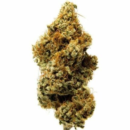 CBD Shop