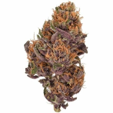 *VIP* Fiori di CBD da interno California Fleur Purple Kush “Q” 10 g