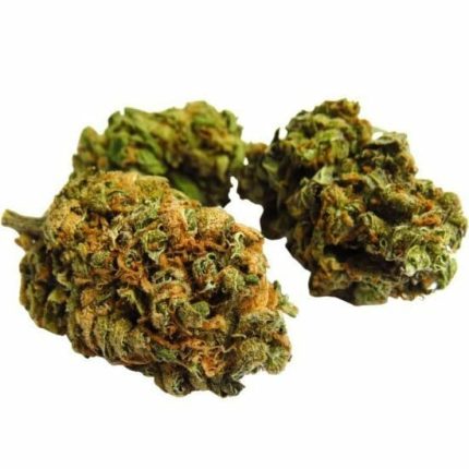 Popcorn Nugs da interno "P", Peso: 10 g