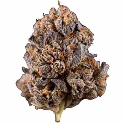 CBD bestellen
