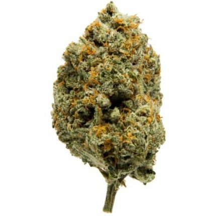 *VIP* California Sherbert -C- Fiori di CBD da interno 10 g