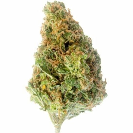 *VIP* Fiori di CBD da interno California Durban Poison 10 g