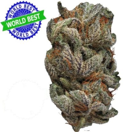 *VIP* Cali Haze Strawberry Indoor CBD Flowers 10g