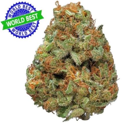 *VIP* Cali Haze White Widow Indoor CBD Blüten 10g