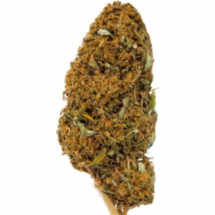 Fiori di CBD da interno Colorado Mango 10 g