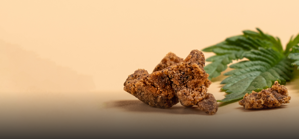 CBD Blüte