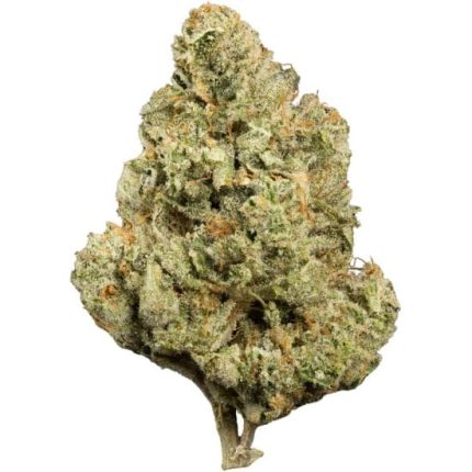 Fiori di CBD da interno New York Harlequin 10 g
