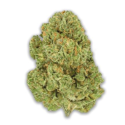 Pedanios 10/13 MBE- CA: Moon Berry