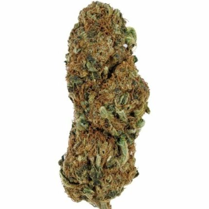 Nevada Tectonic -T- Indoor CBD Blüten 10g